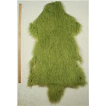 Half pelt Lime green Tibetan lambskin 24577