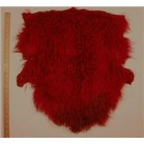 Half pelt Carmine red dark 2 tone Tibetan lamb 24584