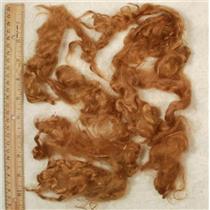 Golden red FS young adult mohair   6-9"  24607