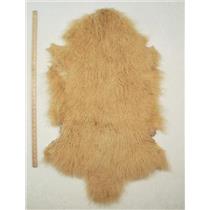 full pelt Yellow Gold Tibetan lambskin 24615