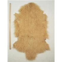Half pelt Yellow Gold Tibetan lambskin 24616