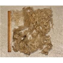 fine adult Mohair washed white locks 3 oz package 2-6" most curls are 3-5" 25430