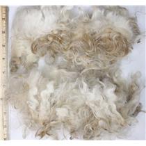 Mohair raw white fine adult slightly wavy 2 oz 3-6" 26659