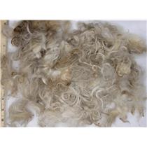 Mohair raw white fine adult short remnant lot  slightly wavy 2.7 oz 1-3" 26663