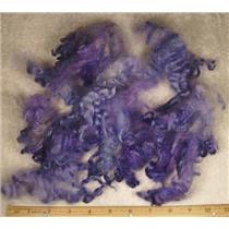 Cotswold lamb wool locks dyed rainbow violet/ blue 1 oz