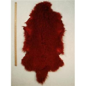 full pelt fine carmine red dark Tibetan lambskin 24555