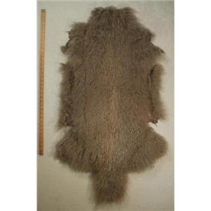 full pelt fine silver gray Tibetan lambskin 24564