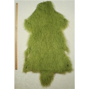 Half pelt Lime green Tibetan lambskin 24577