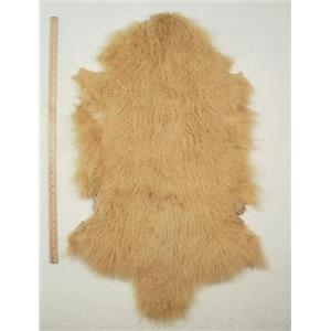 Half pelt Yellow Gold Tibetan lambskin 24616