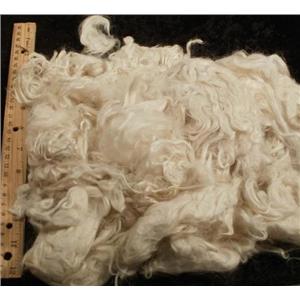 Suri Alpaca 3-5" hand washed cria wool  cream 11.5 oz 24804