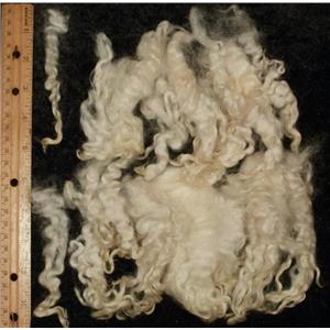 Cotswold wool locks natural  cream 1oz  24881