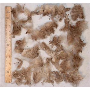 Mohair raw white 3-5" crimpy fine second clip kid locks 2 lb 7 oz spin 25173