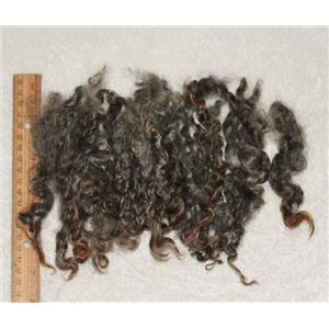 Wensleydale wool locks dark salt and pepper gray 6-8"  25564