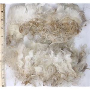 Mohair raw white fine adult slightly wavy 2 oz 3-6" 26659