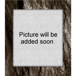 3 x 3" poly zipper seal bags  100 per package #  22027