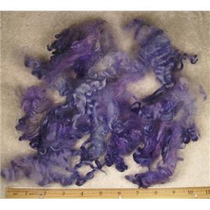 Cotswold lamb wool locks dyed rainbow violet/ blue 1 oz