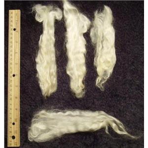 mohair washed white adult angora goat 5-8" 1 oz  23410