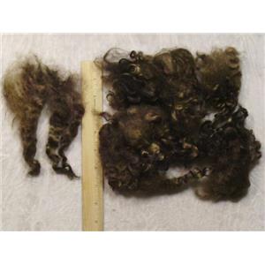 Cotswold wool locks varagated golden brown 1oz  23443