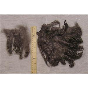 Cotswold wool locks  medium silver gray 1oz  23448