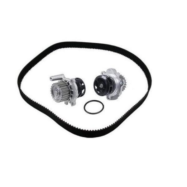 Audi A 5 Timing Belt And Water Pump Replacement Cost
