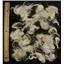 mohair washed silky locks doll reborn  24449