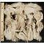 mohair washed white adult angora goat 4-7" 1 oz  24590