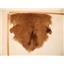 Half pelt Dark blonde 014 with dark spot  Tibetan lambskin 24772