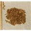 Blondest gold  curly locks mohair  24855
