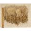 Mohair raw white fine adult loose wave 3oz 5-9" 24403