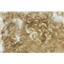 Blondest gold lt (golden blonde) angora goat mohair doll hair 1 oz 3-6" 26150