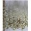 mohair combed to dye, white adult angora goat 7-11' 1 oz 26198