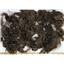 pecan brown light adult mohair 3-6" 1 oz of sorted locks 26215