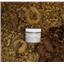 Strawberry Blonde 27-1   Wig making dye Jar,will Dye 5 lb mohair