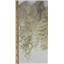 mohair combed to dye, white fine silky adult angora goat 6-11' 1 oz 26756