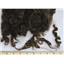 medium neutral brown fine adult mohair 1-5" bulk unsorted locks 26112