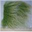 3" sq  Bright green frosted  tibetan lambskin no seams  24995