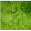 3" spring green tibetan lambskin doll hair wig seam 22754