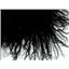 2" curly Black Tibetan lamb skin wig no seam  23295