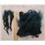 Cotswold wool locks  teal  blue -green 1oz  23445