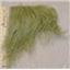 Avacado green tibetan lambskin sample 23666