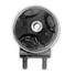 1998-2001 Kia Sephia 00-04 Spectra Front Engine Motor Mount