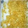 yellow NR-P Mohair curls 1 oz  fine adult 3-5" 26759