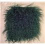 3" deep kelly green  tibetan lambskin no seams 11882