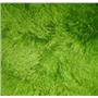 3" spring green tibetan lambskin doll hair wig seam 22754