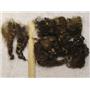 Cotswold wool locks varagated golden brown 1oz  23443