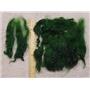 Cotswold wool locks  kelly green 1oz  23447