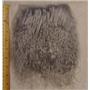 2 "sq Silver tibetan lambskin doll hair no seam  23847