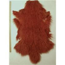 full pelt Brown red Tibetan lambskin 24618