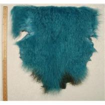 Half pelt Turquoise 2 tone  Tibetan lambskin 24665