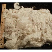 Suri Alpaca 3-5" hand washed cria wool  cream 11.5 oz 24804
